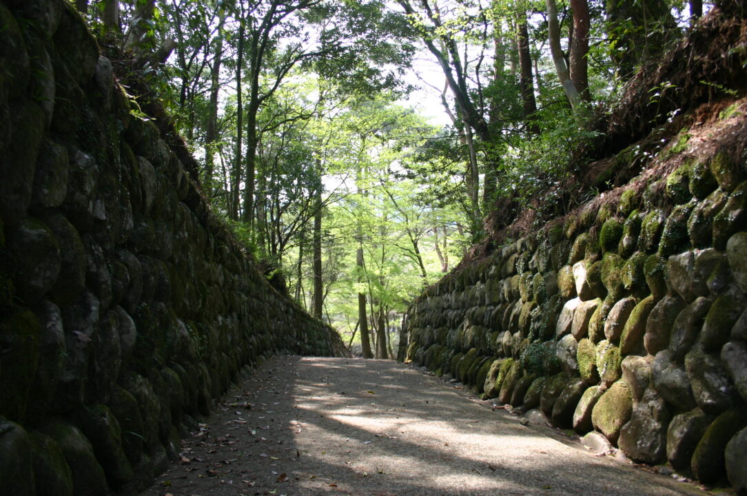 広川原キャンプ場 photo 2
