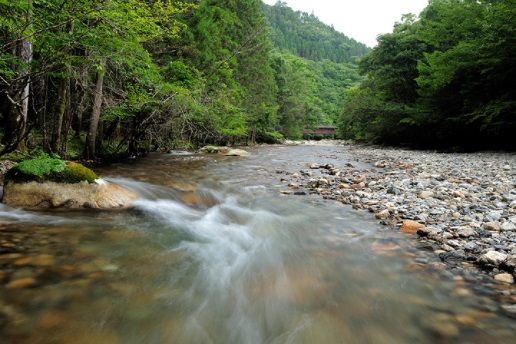 藤河内渓谷キャンプ場 photo 2