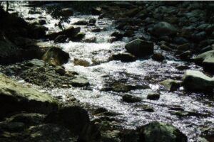 藤河内渓谷キャンプ場 photo 4