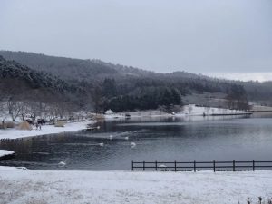 RECAMP別府志高湖（旧 志高湖キャンプ場） photo 2