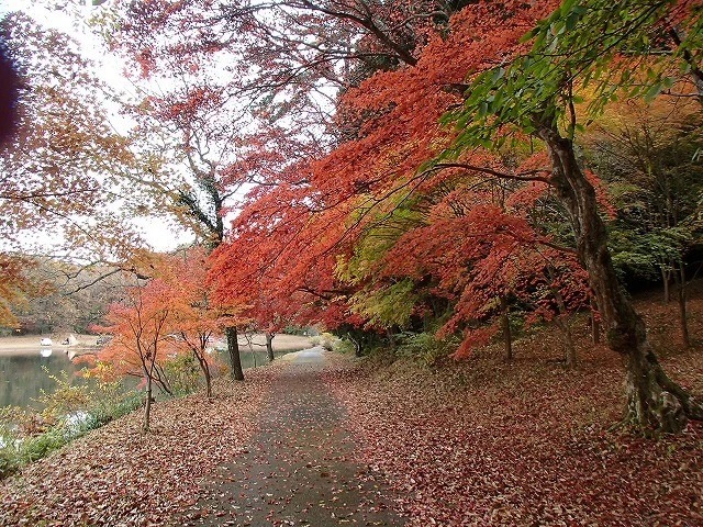 RECAMP別府志高湖（旧 志高湖キャンプ場） photo 3