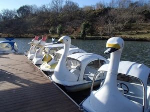 RECAMP別府志高湖（旧 志高湖キャンプ場） photo 4