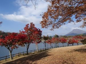 RECAMP別府志高湖（旧 志高湖キャンプ場） photo 5