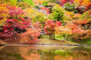 里の旅リゾート ロッジきよかわ photo 4