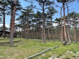 えびの高原キャンプ村 photo 4