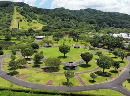 観音さくらの里 photo 4