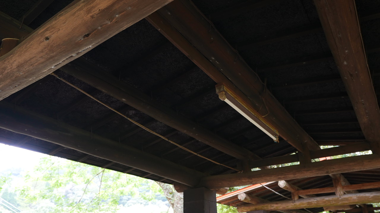 蜂の巣キャンプ場 photo 2
