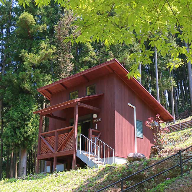 日之影キャンプ村 photo 3