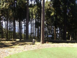 池の窪グリーンパーク photo 2