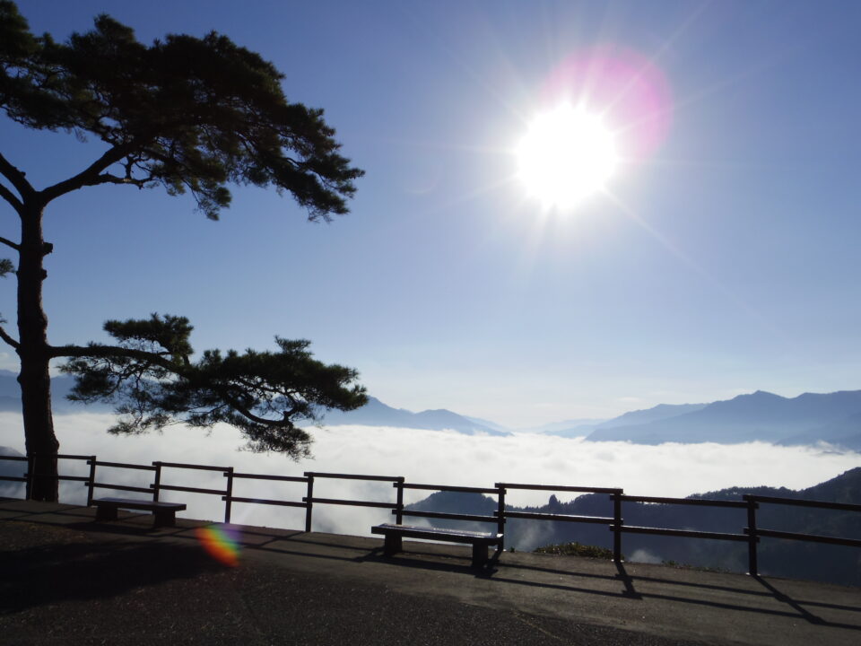 四季見原すこやかの森キャンプ場 photo 4