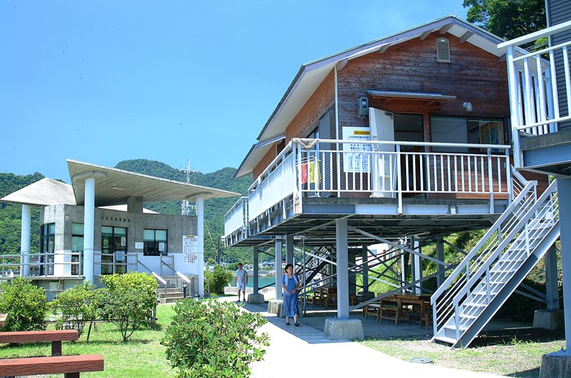 小島公園キャンプ場