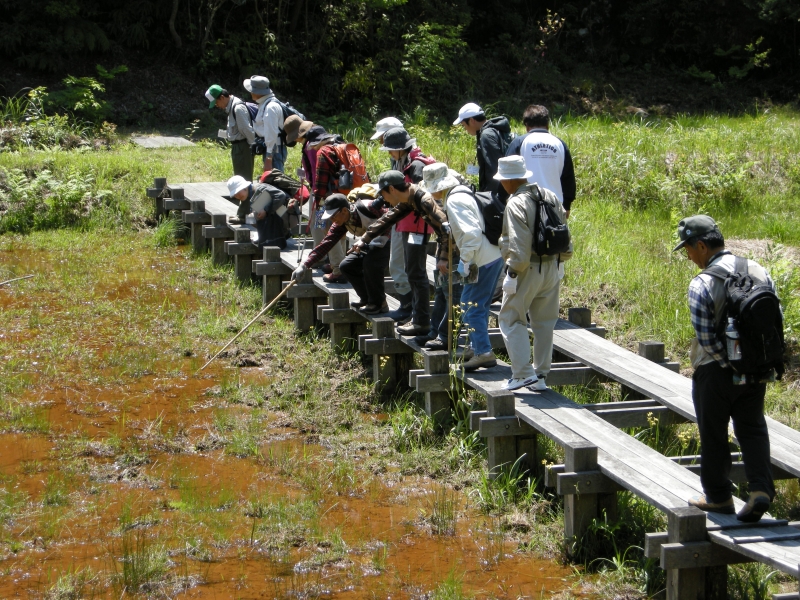 白嶽森林公園キャンプ場 photo 4