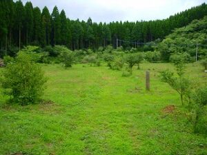 五反畑キャンプ場 photo 3