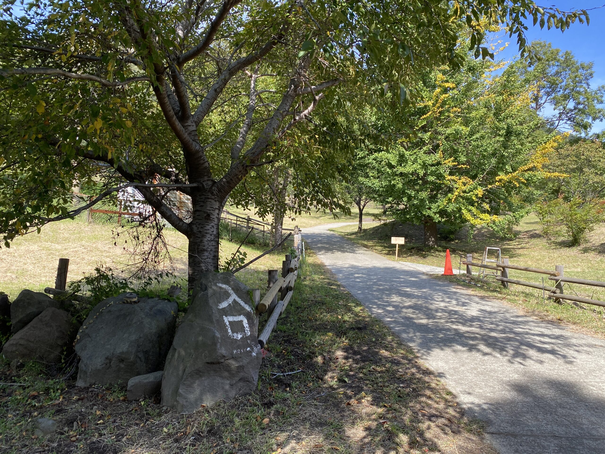鍋の平キャンプ村 photo 4