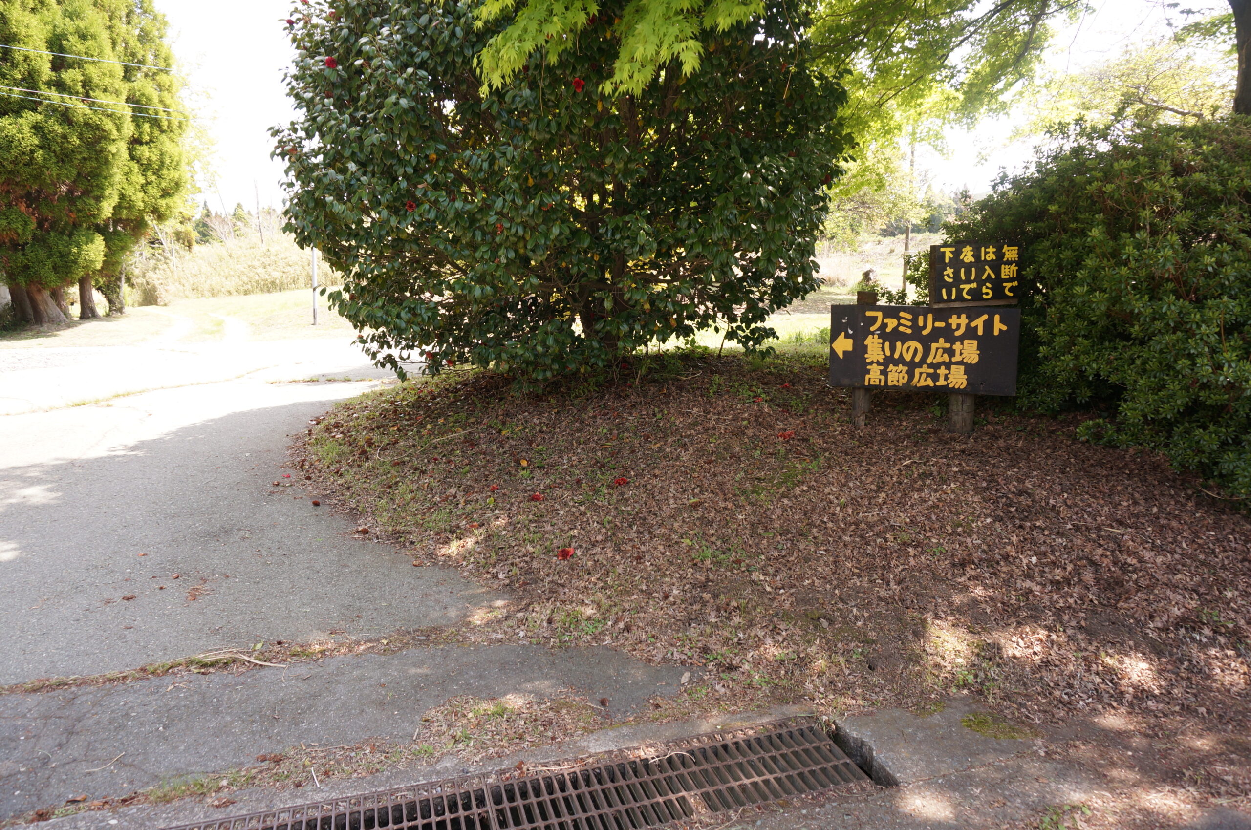 阿蘇くじゅう国立公園阿蘇山三合目坊中野営場（坊中キャンプ場） photo 5
