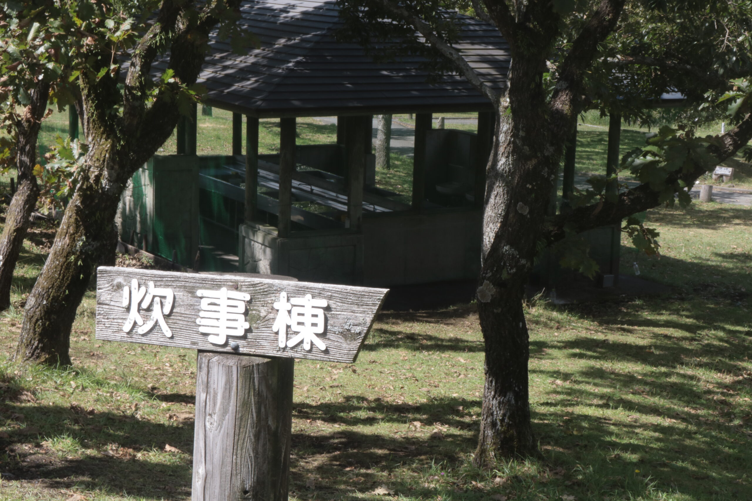 阿蘇瀬ノ本高原茶屋の原キャンプ場 photo 5