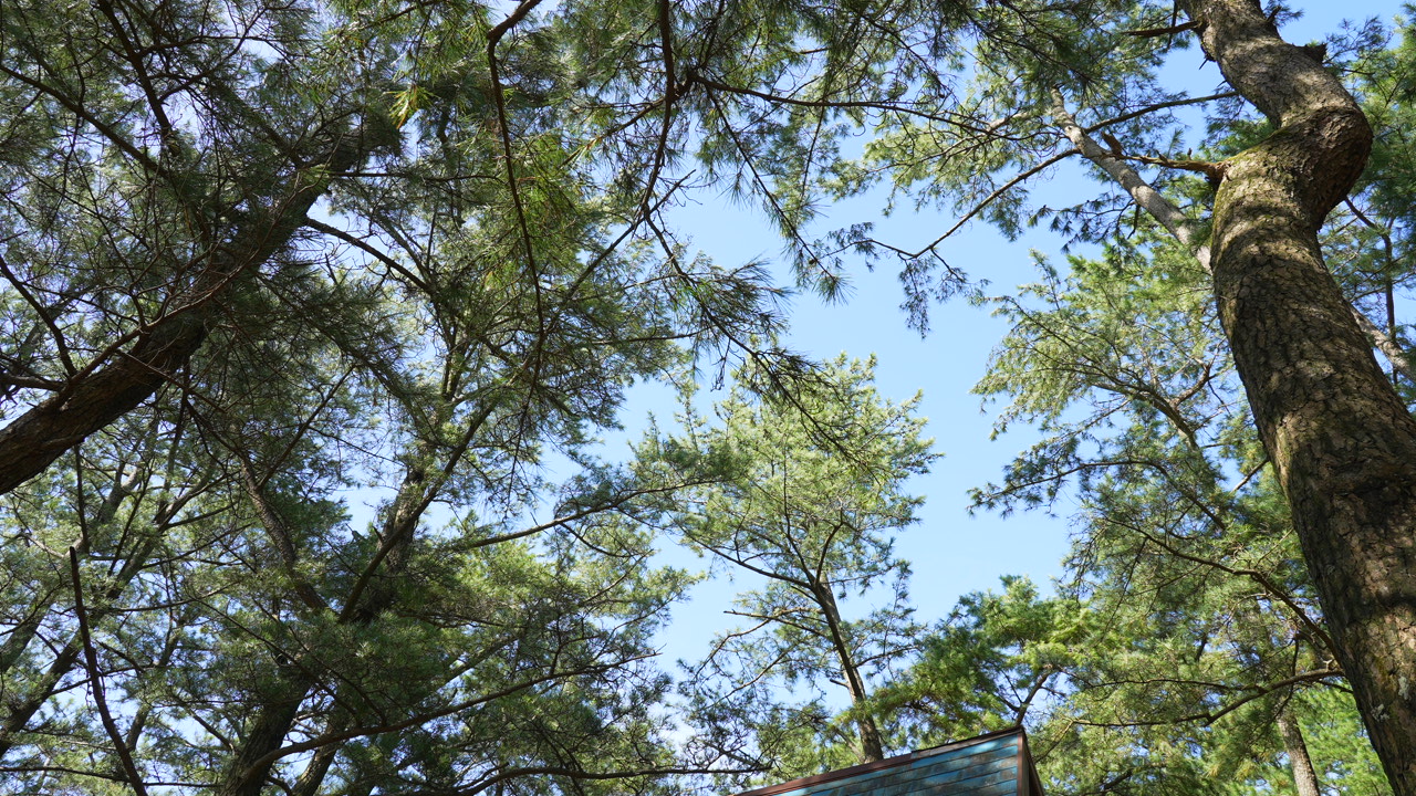 野田浜キャンプ場 photo 3