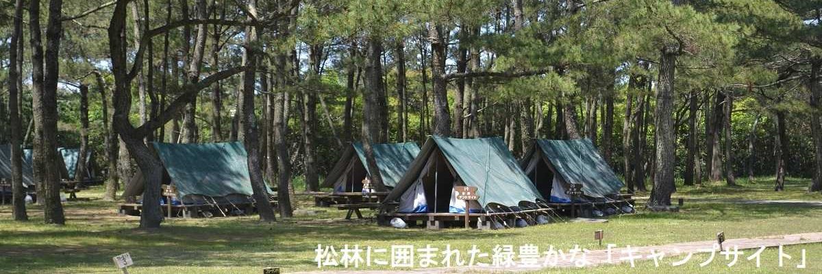 県立吹上浜海浜公園キャンプ場 photo 3