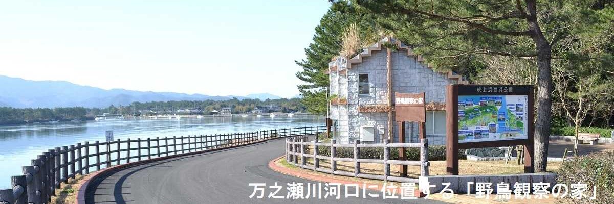 県立吹上浜海浜公園キャンプ場 photo 4