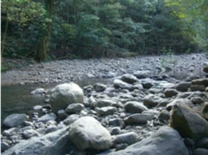 グリーンカントリー高隈 photo 2