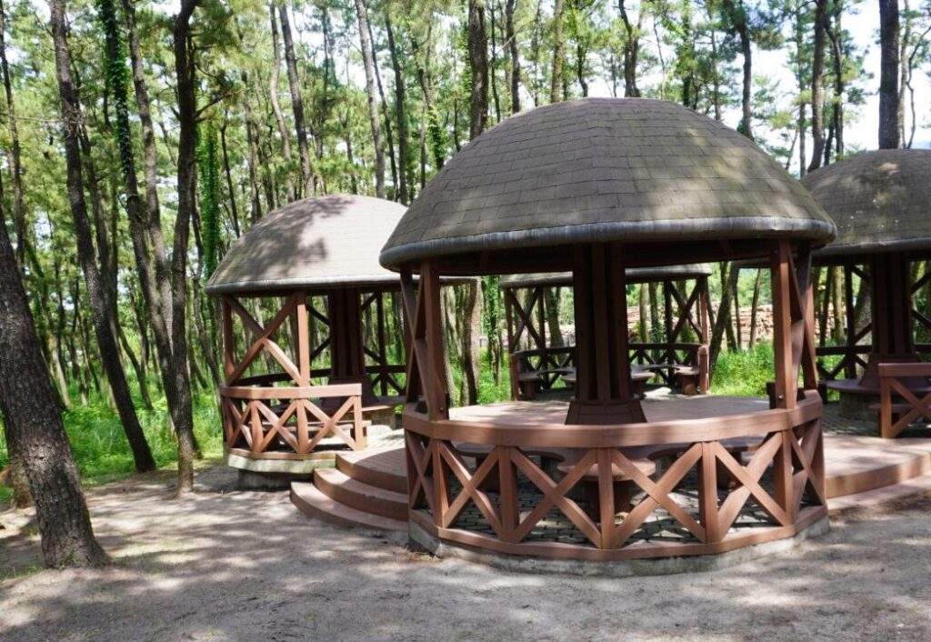 円山公園ふれあいの森キャンプ場 photo 4