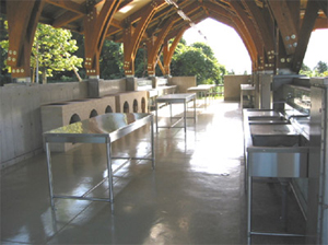 大隅広域公園オートキャンプ場 photo 2