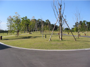 大隅広域公園オートキャンプ場 photo 3