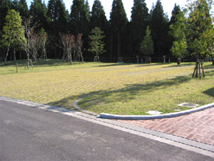 大隅広域公園オートキャンプ場 photo 4
