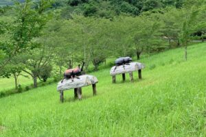花瀬バンガロー村 photo 3