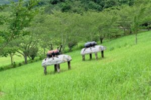 花瀬自然レクリエーション村 photo 5