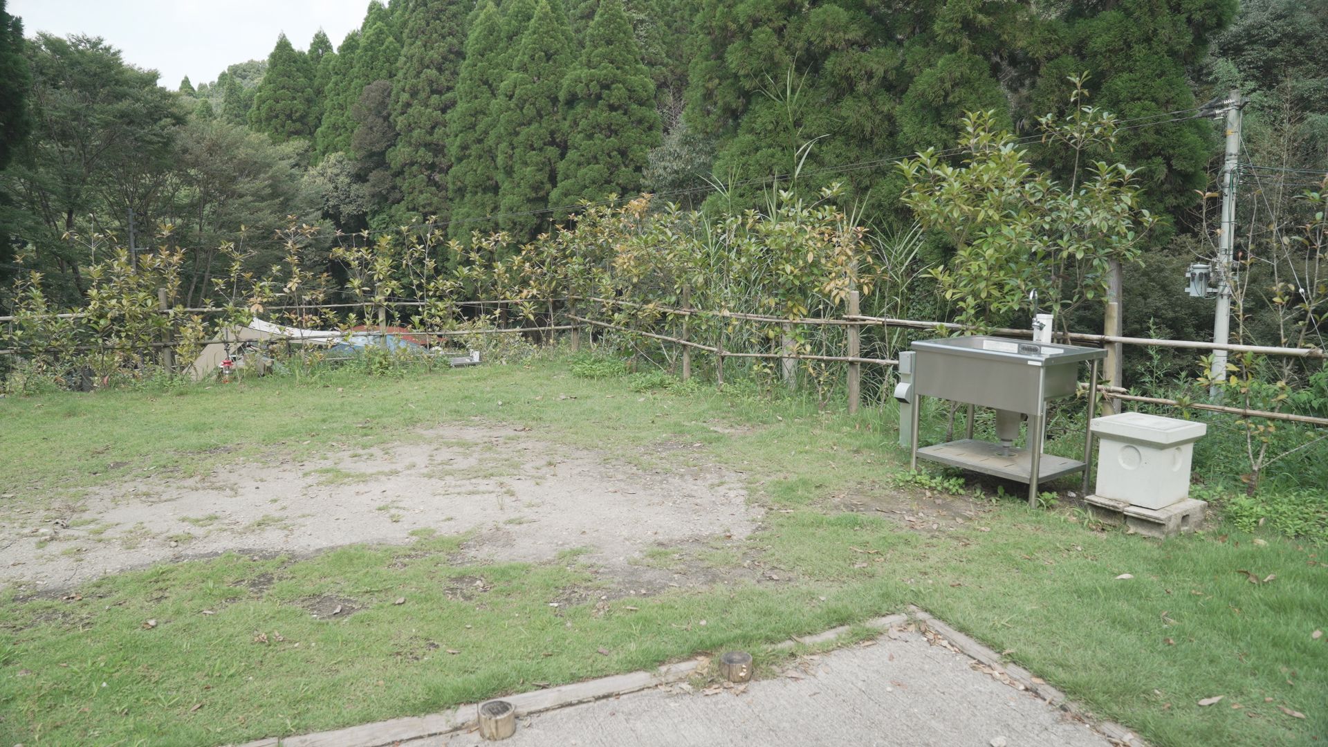 さえずりの森 photo 3