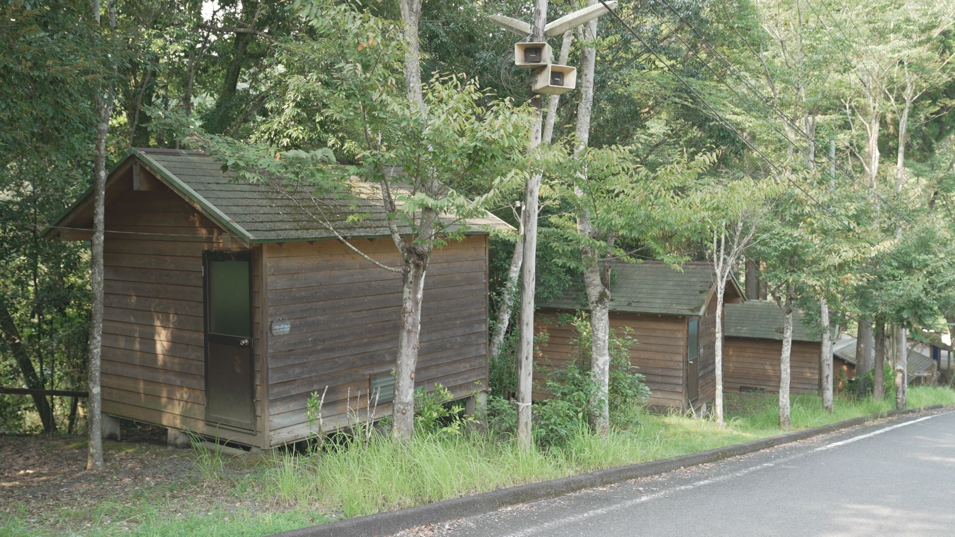 さえずりの森 photo 4