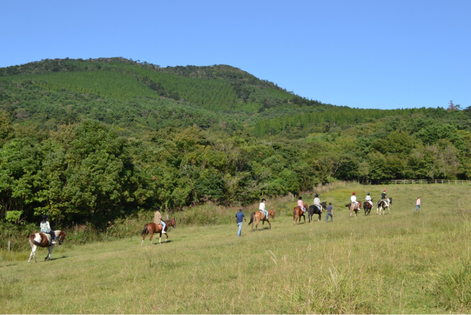 フィールドアート 栗野岳ログ・キャンプ村 photo 4