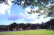 霧島緑の村 photo 2