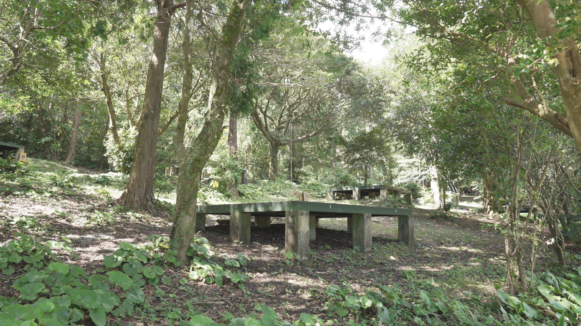 鹿児島市観光農業公園グリーンファーム(旧喜入の森キャンプ場) photo 2