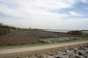 海遊ふれあいパークオートキャンプ場 photo 4