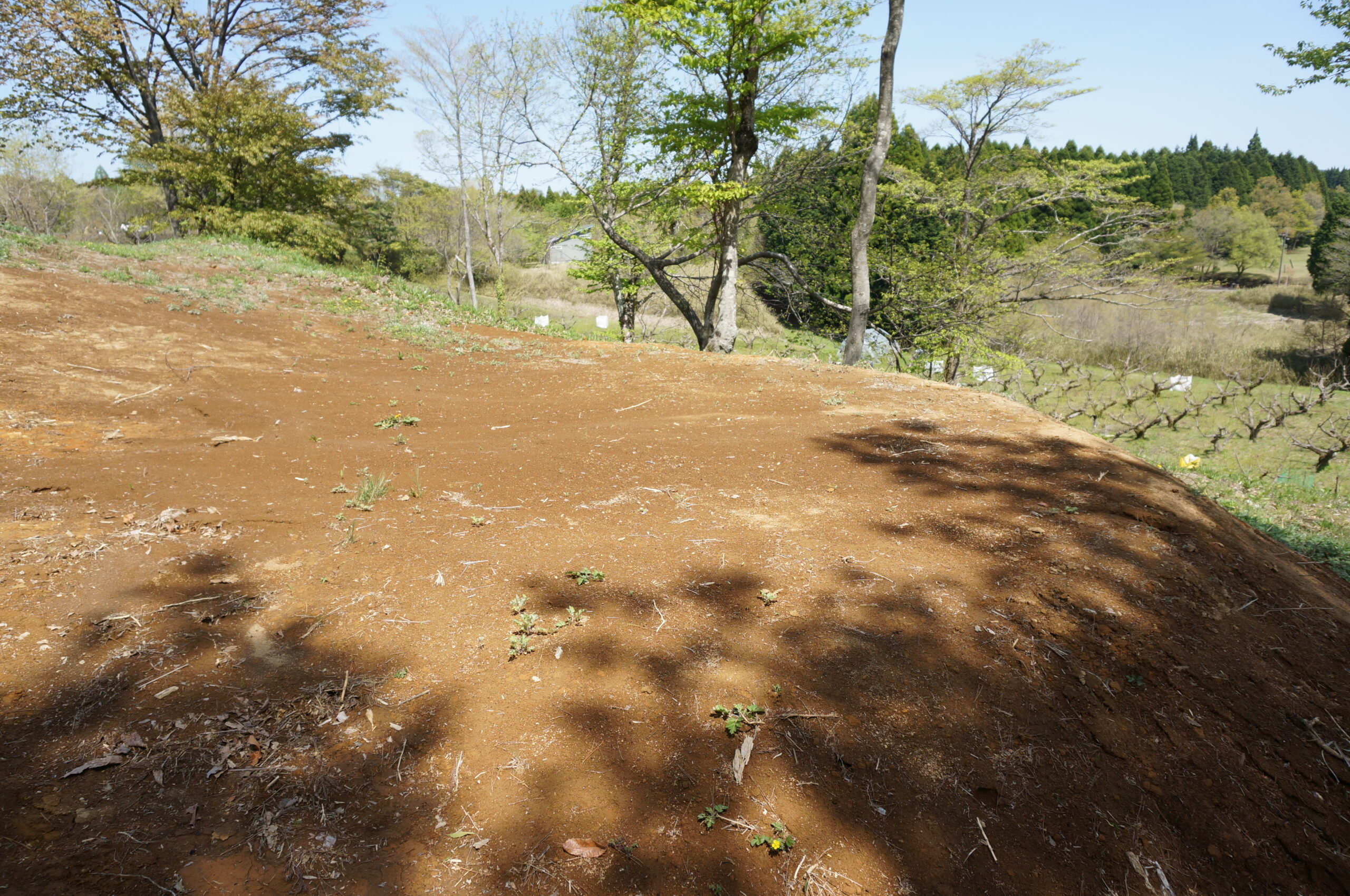 リベラルカマブタオートキャンプ場 photo 2