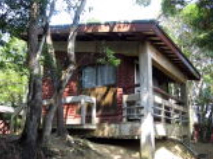 竜洞山みどりの村 photo 4
