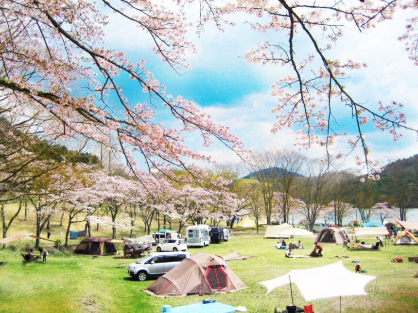 【2022年度版】春は桜の季節！花見も楽しめる九州のキャンプ場