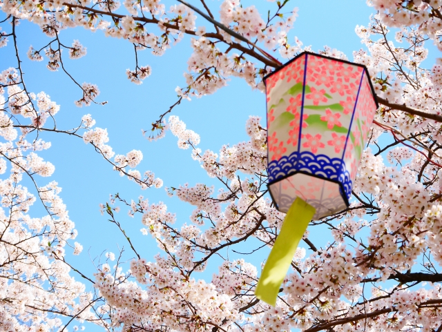 【2022年度版】桜・花見も楽しめる鹿児島のキャンプ場