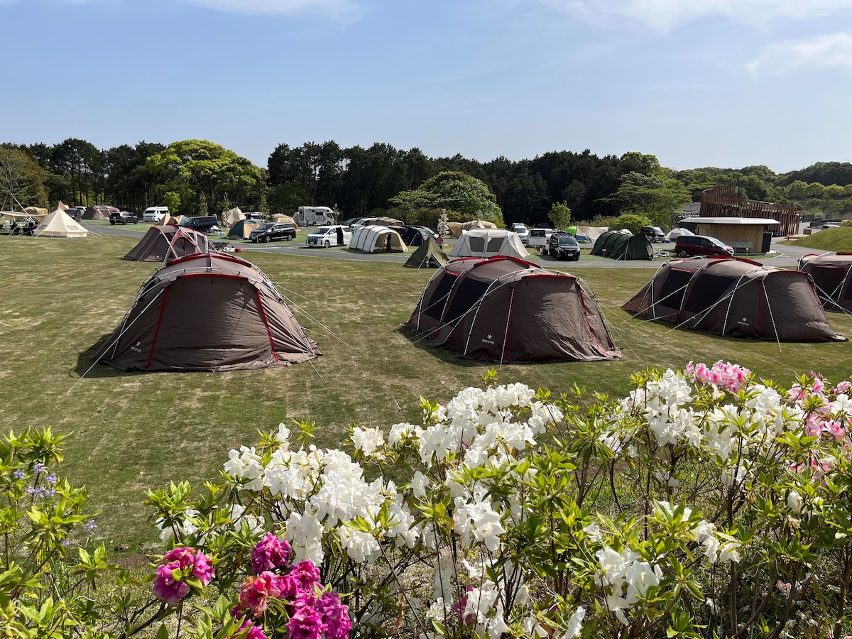 ドギーサイトや手ぶらサイトも完備！響灘緑地の魅力が詰まった新施設「HIBIKINADA CAMP BASE」がオープン！